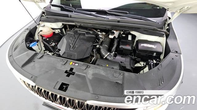 Kia Carnival 4세대 Prestige, 2021 6