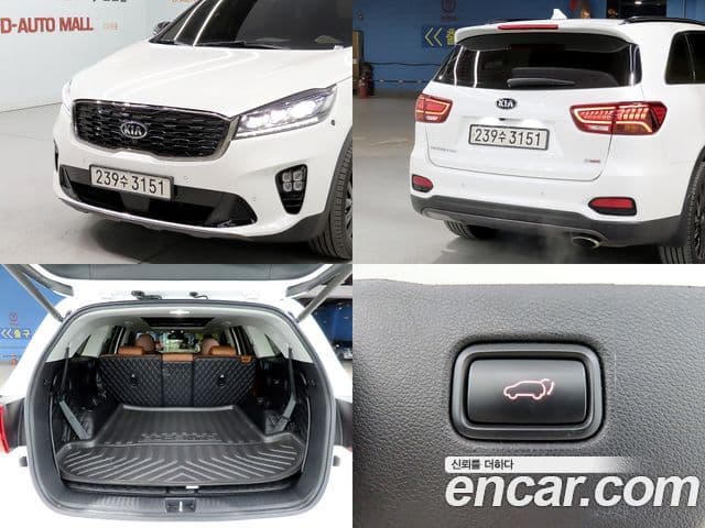 Kia The / новый New Sorento Master Special, 2020 18