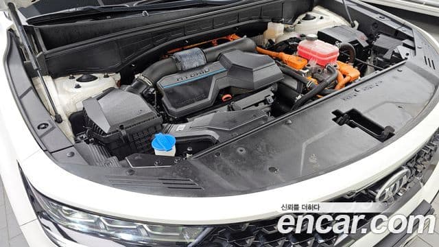 Kia Sorento 4세대 Gravity, 2021 6