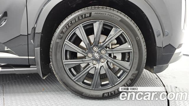 Hyundai Palisade Calligraphy, 2022 все фото