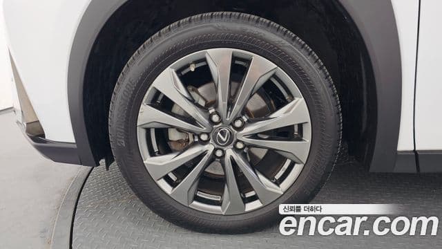 Lexus UX250h 2.0 F-Sport 2WD, 2022 все фото