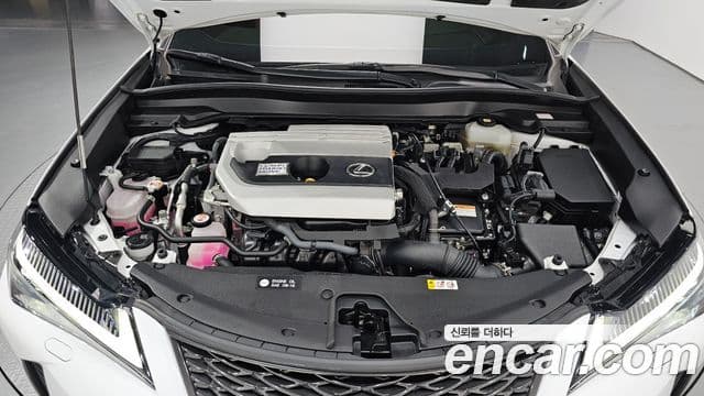 Lexus UX250h 2.0 F-Sport 2WD, 2022 6