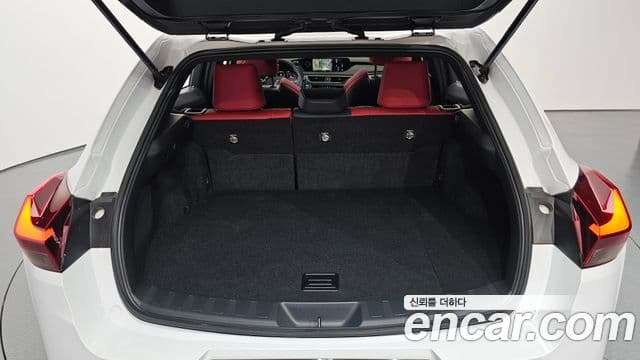 Lexus UX250h 2.0 F-Sport 2WD, 2022 20