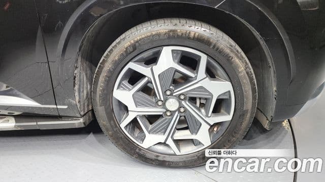 Hyundai Palisade Calligraphy, 2021 все фото