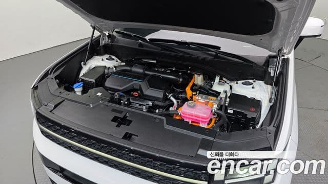 Hyundai Santa Fe (MX5) Calligraphy, 2024 6