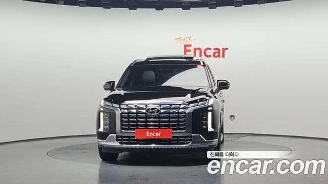 Hyundai The / новый New Palisade VIP, 2023 3