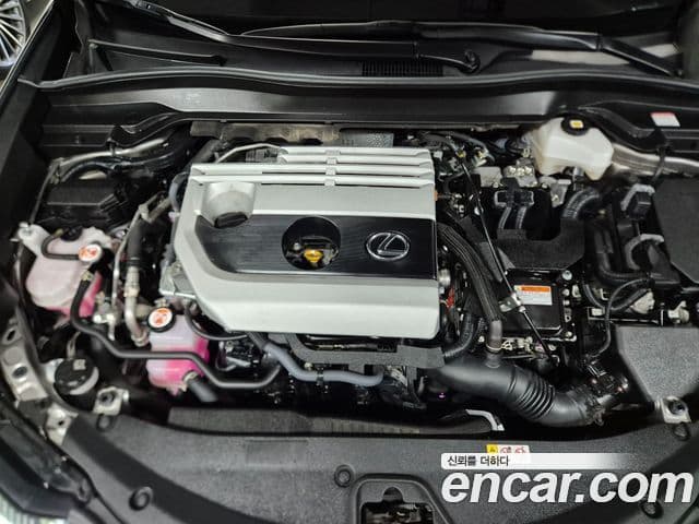 Lexus UX250h, 2024 6