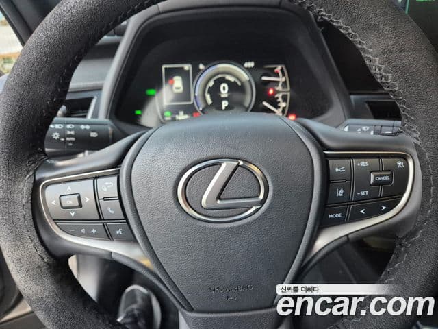 Lexus UX250h, 2024 20