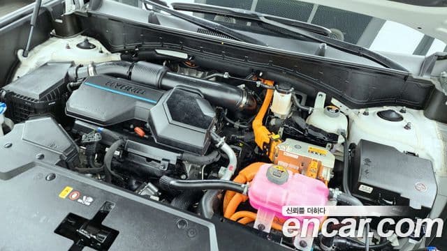 Hyundai Santa Fe (MX5) Calligraphy, 2024 6