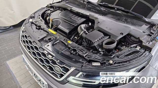 Land Rover Range Rover Evoque 2세대 P250 SE, 2020 6