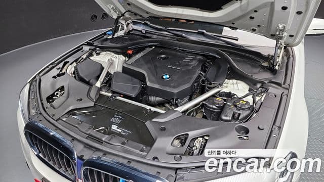 BMW 5시리즈 (G30) Luxury, 2020 6