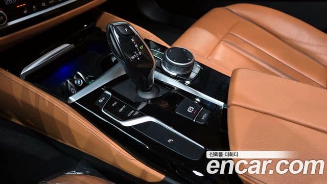 BMW 5시리즈 (G30) Luxury, 2020 9