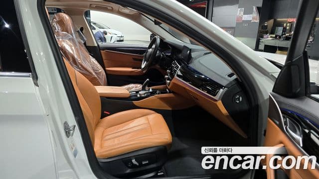BMW 5시리즈 (G30) Luxury, 2020 10