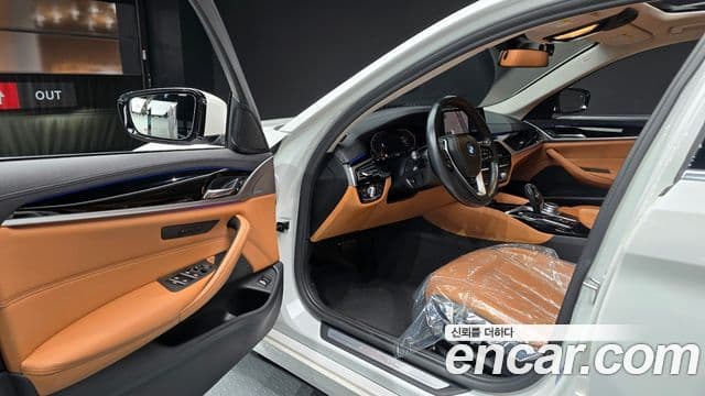 BMW 5시리즈 (G30) Luxury, 2020 11