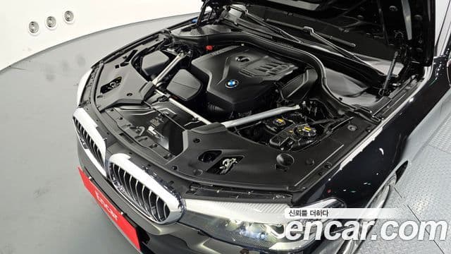 BMW 5시리즈 (G30) Luxury, 2020 6