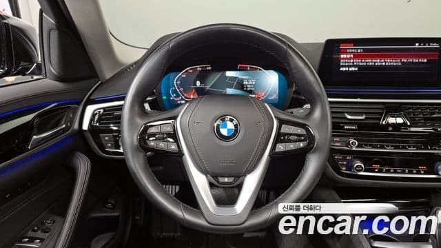 BMW 5시리즈 (G30) Luxury, 2020 13