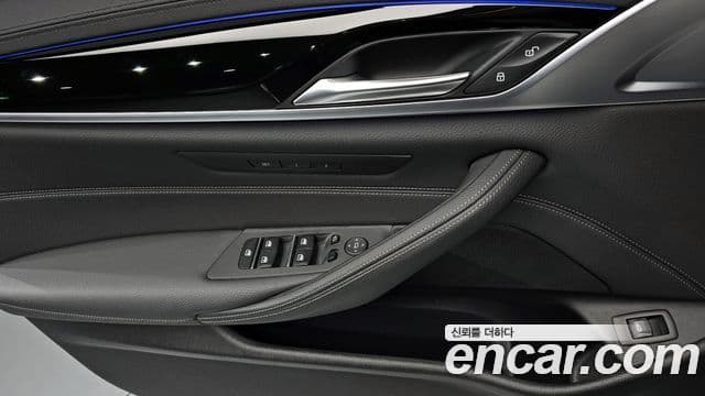 BMW 5시리즈 (G30) Luxury, 2020 18