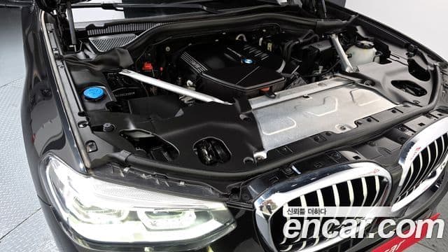 BMW X4 (G02) xDrive20d xLine, 2020 6