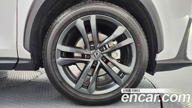 Lexus NX350h 2세대 Premium, 2025 все фото