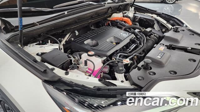 Lexus NX350h 2세대 Premium, 2025 6