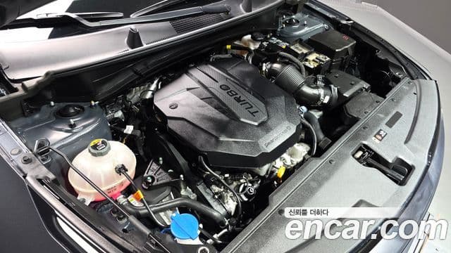 Kia Sportage 5세대 Signature, 2022 6