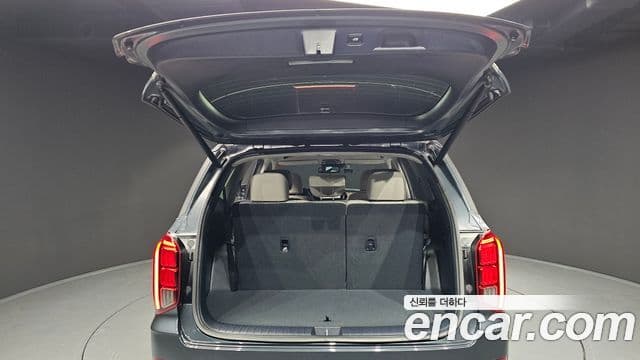 Hyundai Palisade Prestige, 2022 20