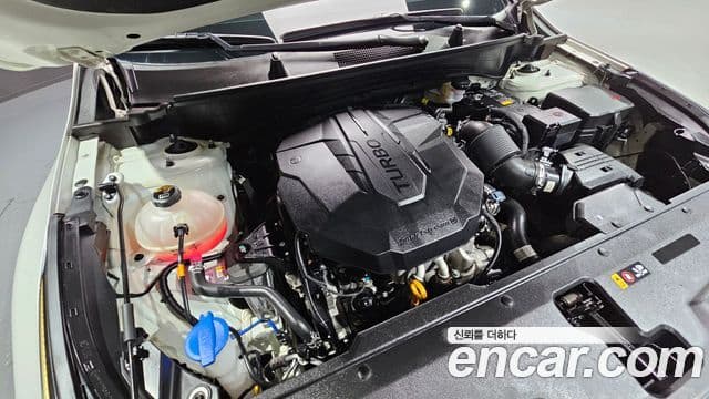 Kia Sportage 5세대 Signature, 2022 6