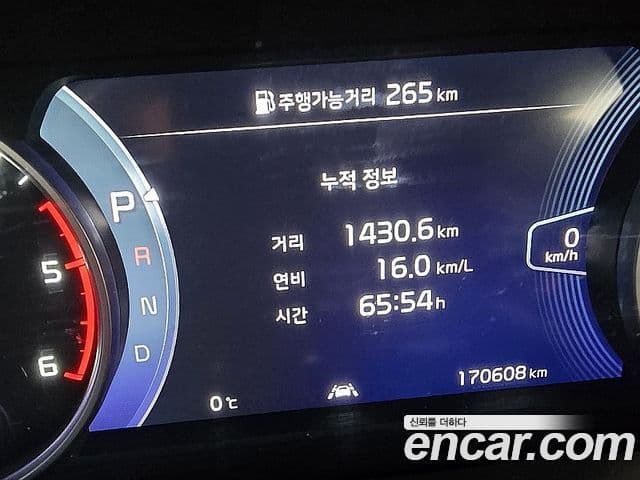 Kia Seltos Noblesse, 2020 14