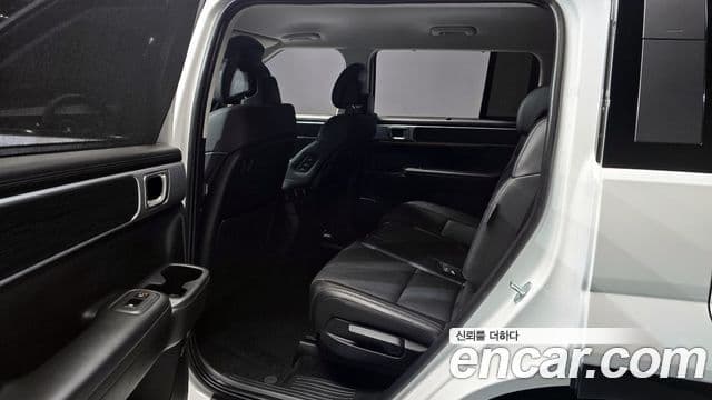 Hyundai Santa Fe (MX5) Calligraphy, 2024 12