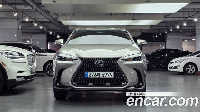 Lexus NX350h 2세대 Premium, 2025 1