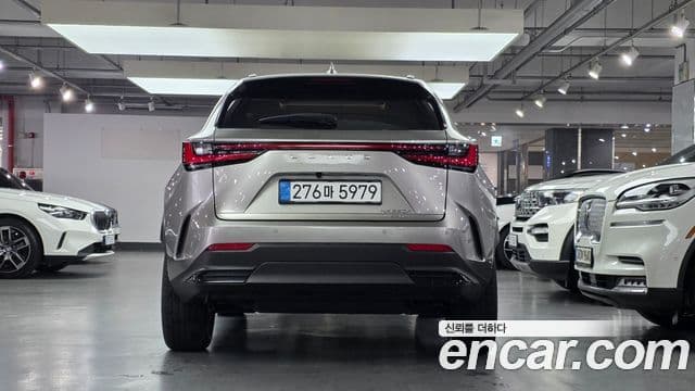 Lexus NX350h 2세대 Premium, 2025 3