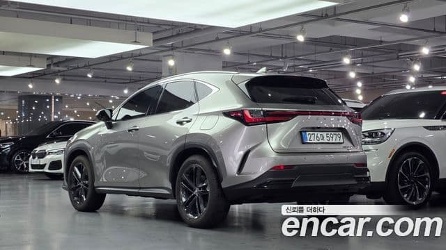 Lexus NX350h 2세대 Premium, 2025 4