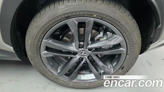 Lexus NX350h 2세대 Premium, 2025 все фото