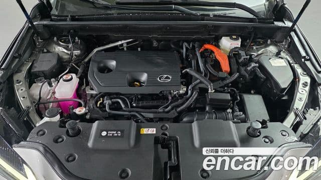 Lexus NX350h 2세대 Premium, 2025 6