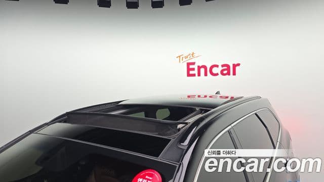 Hyundai Maxcruz Special, 2015 20