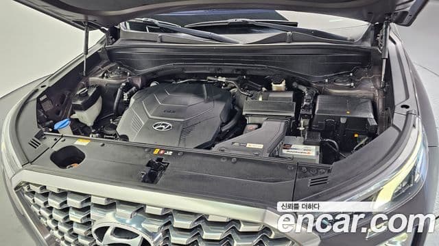 Hyundai Palisade Prestige, 2019 6