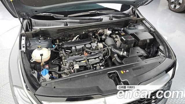 Kia Sportage 5세대 Noblesse, 2024 6