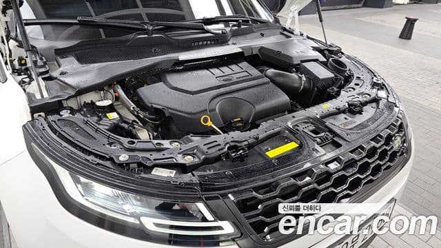 Land Rover Range Rover Evoque 2세대 P250 SE, 2023 6
