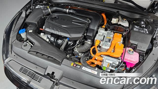 Kia The / новый New K5 гибрид 3세대 Signature, 2024 6