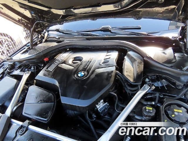 BMW 5시리즈 (G30) Luxury, 2018 19