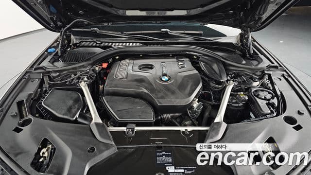 BMW 5시리즈 (G30) 530i Luxury Plus, 2018 6