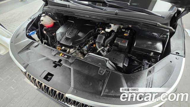 Kia Carnival 4세대 Prestige, 2021 6