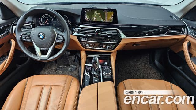 BMW 5시리즈 (G30) Luxury, 2019 7