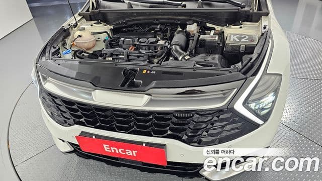 Kia Sportage 5세대 Signature, 2022 6