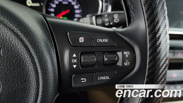 Kia All New Carnival Noblesse, 2017 16