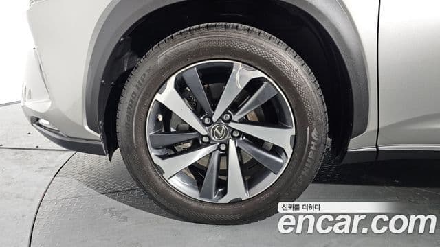 Lexus NX300h Supreme, 2019 все фото