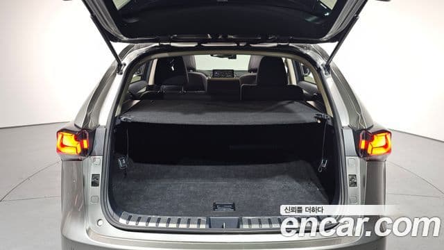 Lexus NX300h Supreme, 2019 20