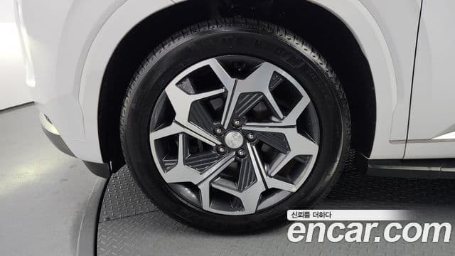 Hyundai Palisade Calligraphy, 2022 все фото