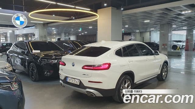 BMW X4 (G02) xDrive20i xLine, 2023 2