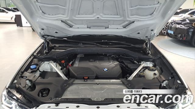 BMW X4 (G02) xDrive20i xLine, 2023 6